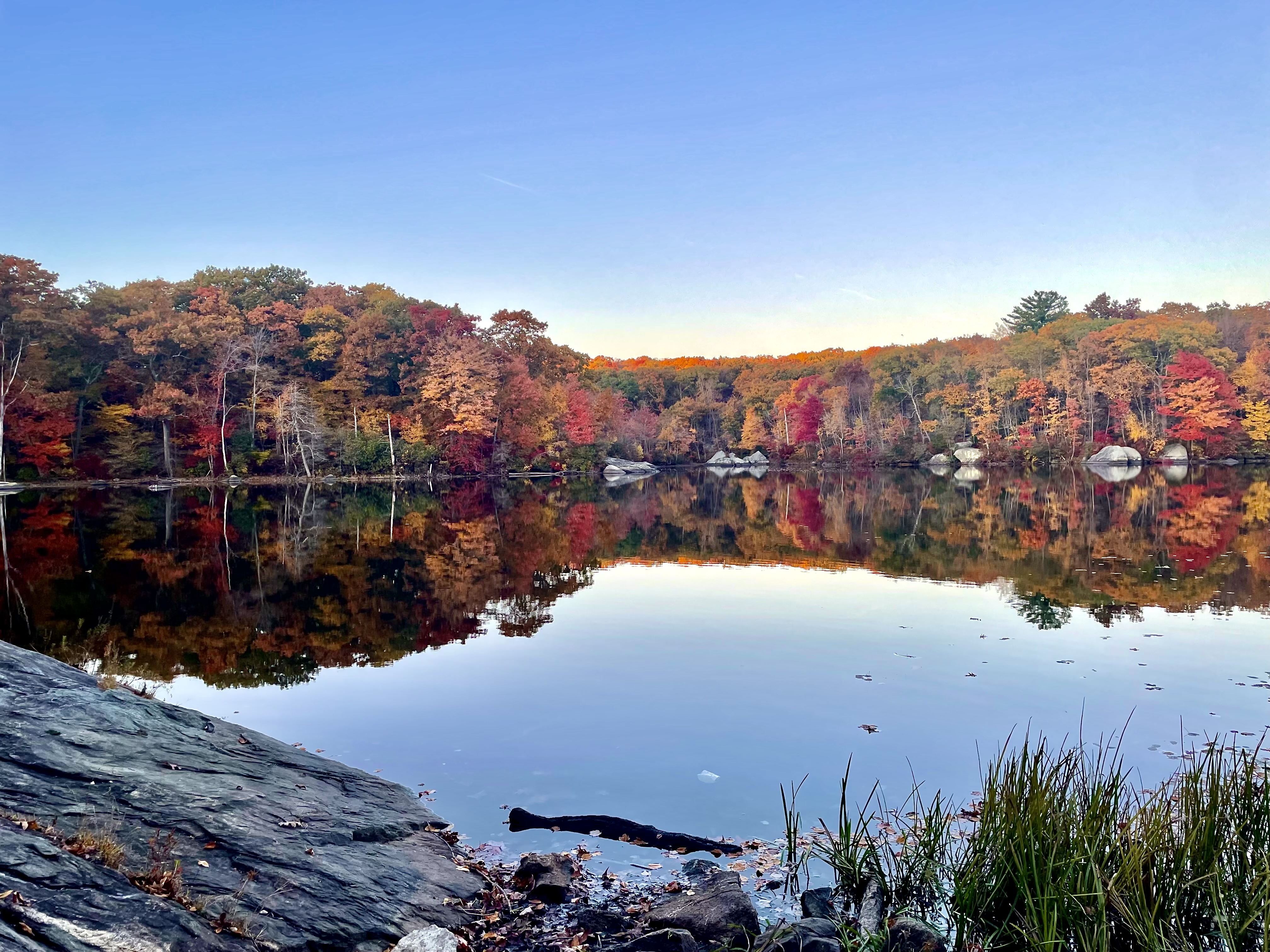 Rhode Island nature