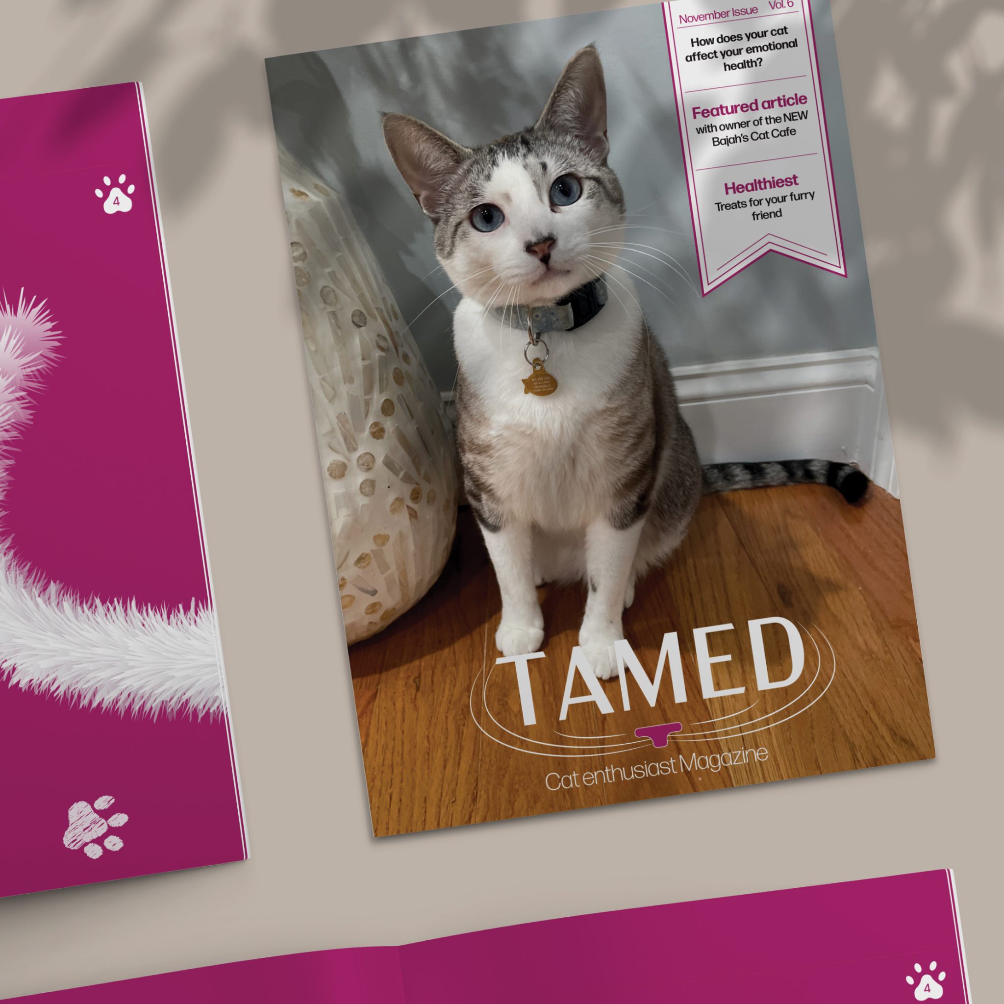 Tamed cat Magazine front cover Mock up