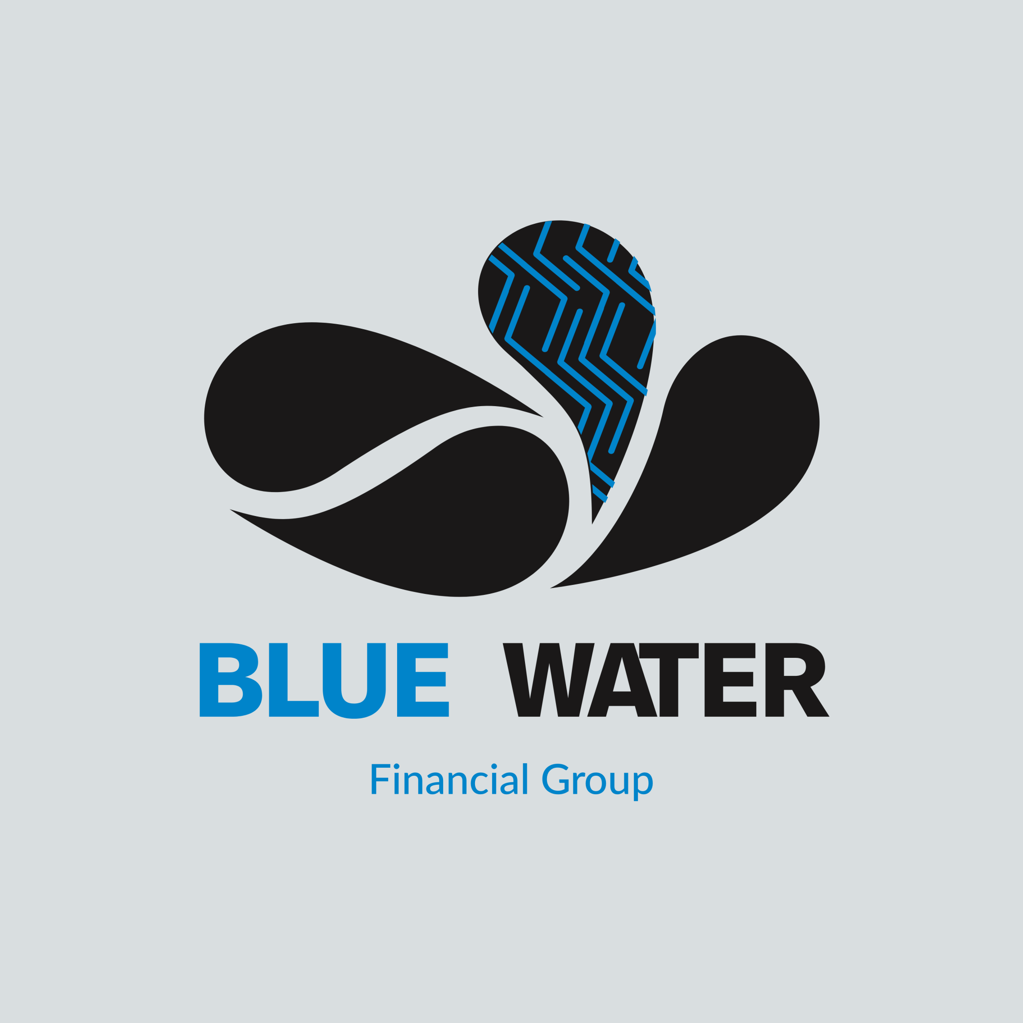 Blue water financial brand logo